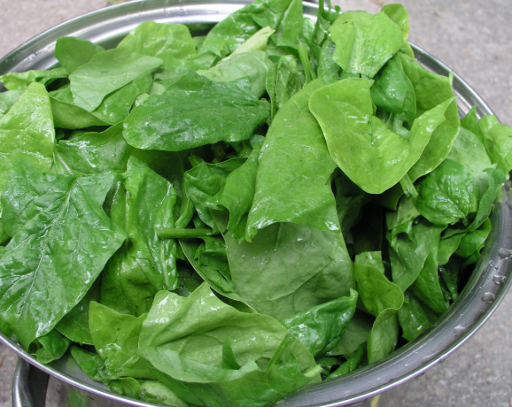 spinach in a bowl