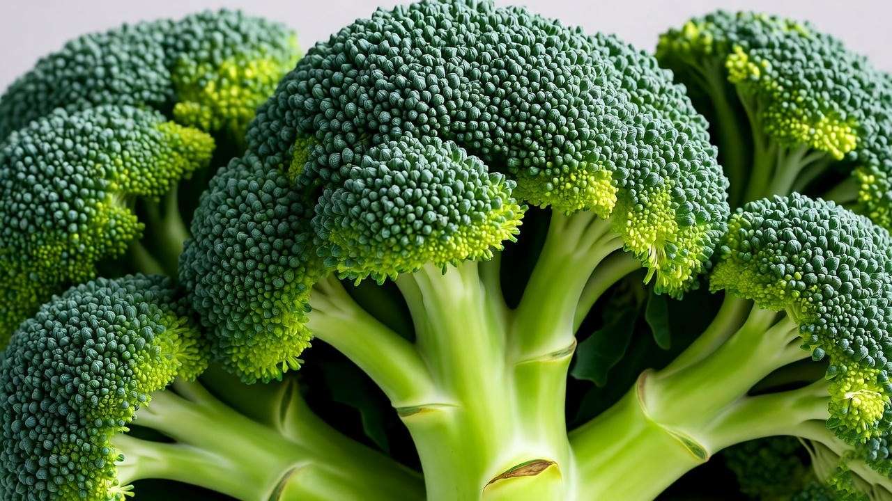 Fresh broccoli crowns close-up for plant-based nutrition guide