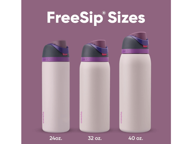  Owala FreeSip Insulated Stainless Steel Water Bottle with Straw for Sports, Travel, and School BPA-Free Sports Water Bottle, 24 oz, Dreamy Field
