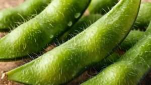 fresh edamame