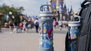 best water bottle for disney