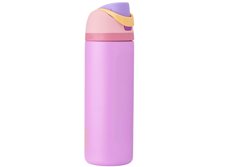 Owala Disney Princess FreeSip Insulated Stainless Steel Water Bottle with Straw for Sports and Travel, BPA-Free Sports Water Bottle, 24 oz, Rapunzel