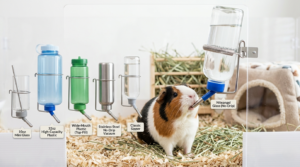 best guinea pig water bottle