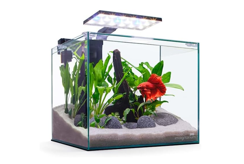 Imagitarium by Petco Glass Betta Aquarium Kit 5 Gallons 