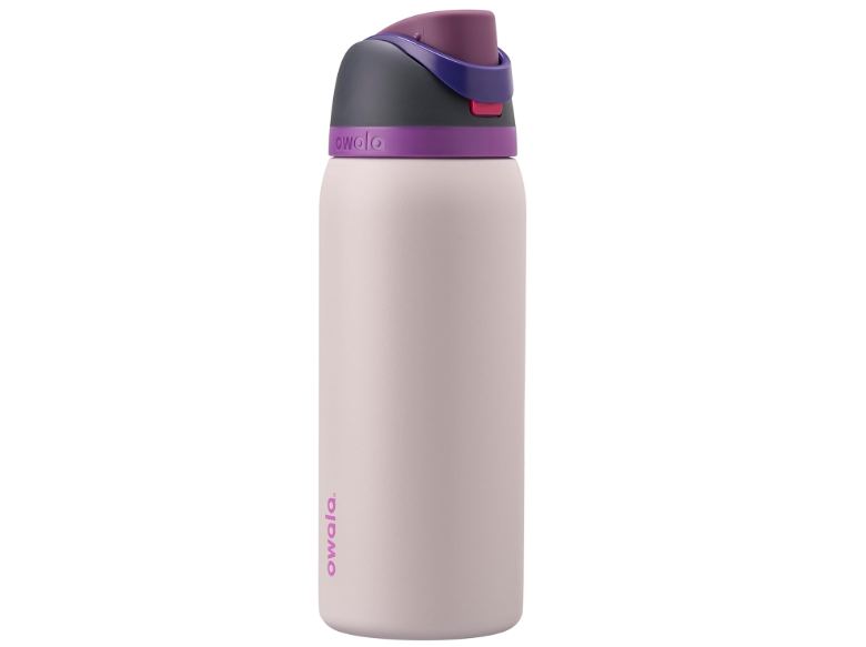 Owala FreeSip Insulated Stainless Steel Water Bottle with Straw for Sports and Travel, BPA-Free, 32oz, Dreamy Field